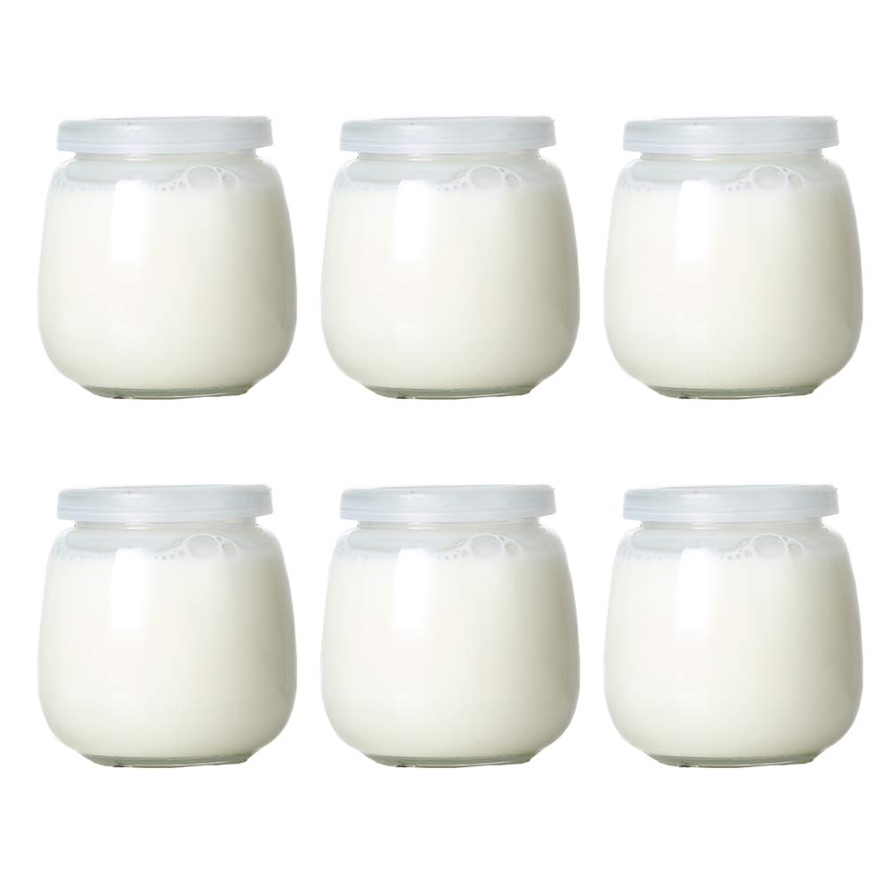 Danmu Art 6Pcs Yogurt Pudding Milk Glass Bottles Jars with Plastic Lids Mini Cup Small Glass Bottles Perfect for Yogurt Maker (300ml)