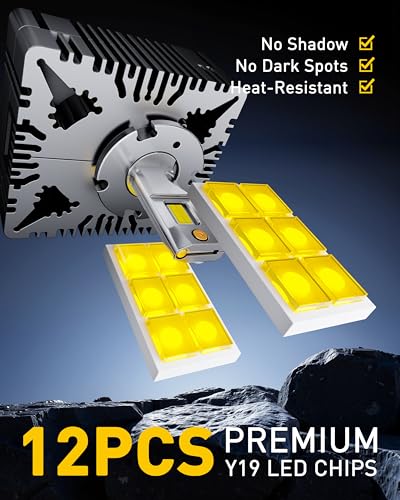 Image of AUXITO D5S Light Bulbs, 50000LM 6500K Cool White, Pack of 2