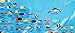 Hawaiian Islands Adventure Guide Map