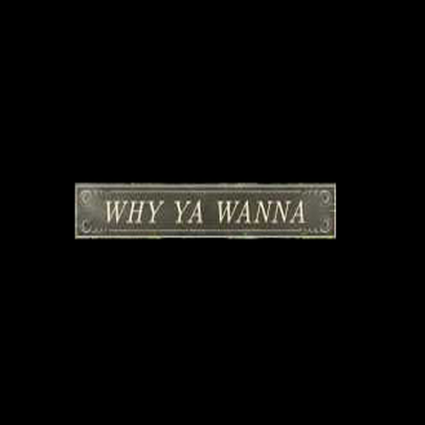Why You Wanna