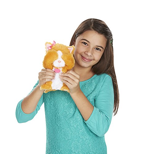 image for FurReal Friends Li'l Big Paws Peek-a-boo Daisy Pet, Orange,white,light