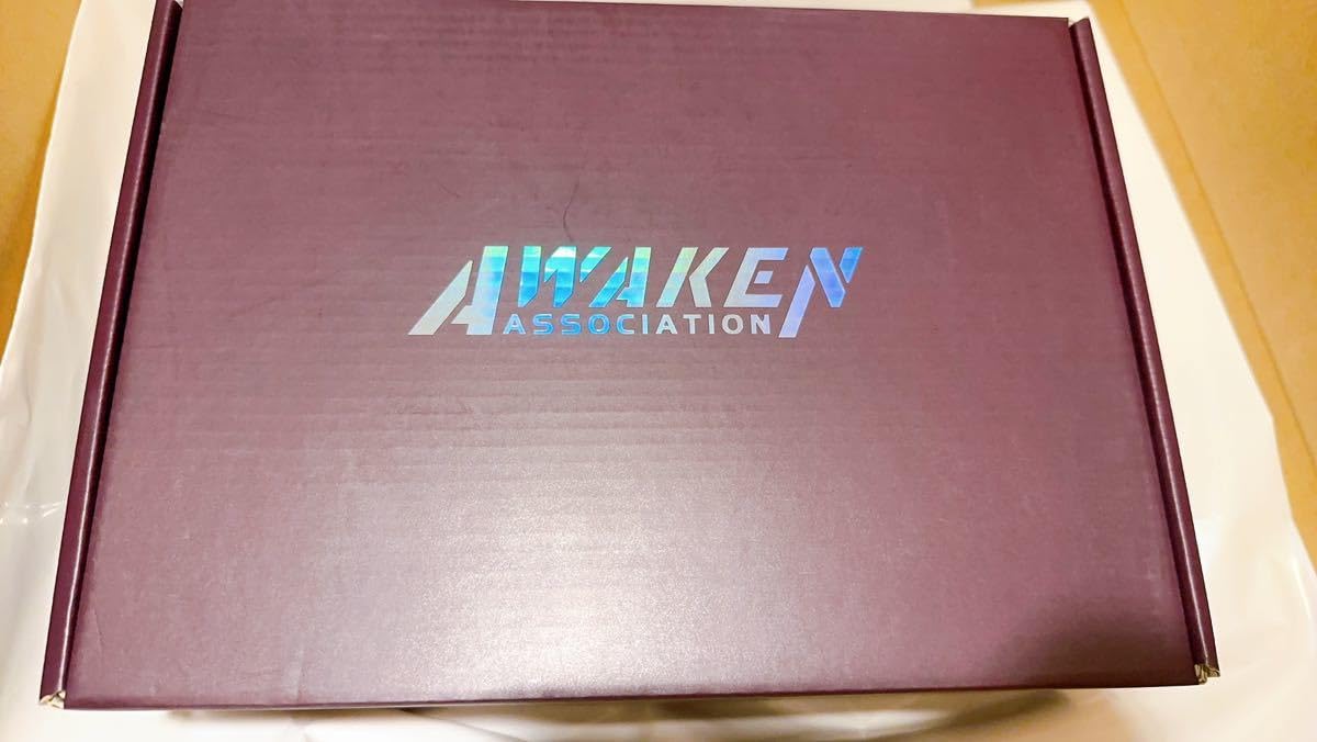 Amazon.co.jp: 未組立 AWAKEN 原神 八重神子 ガレージキット 未塗装