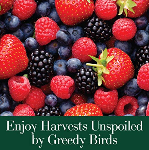 Dalen 100055857 Bird X Protective Mesh Netting - Keep Birds And Pests Away From Your Garden thumb #2