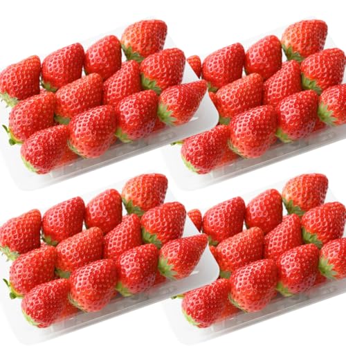 [ 先行予約 ] 茨城県品種 いばら キッス (4パック×1箱)[ 2026年1月から発送開始 ] (茨城県共通品 : 常陸太田市) 約 260g × 4 パック いばらキッス いばらきっす いちご 果物 くだもの フルーツ 苺 イチゴ