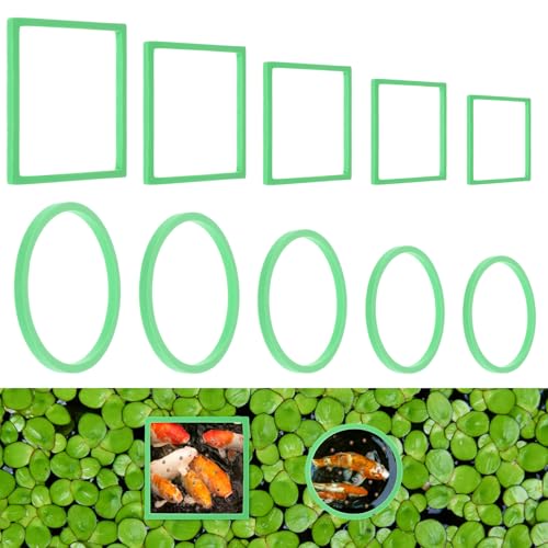 Bewudy 10 ̉atOZbgA t[eBOA ͂^N aT[N كtB[hT[N EhtB[_[O XNGA t[eBO AO C^[Zvg t[gvgp (O[)