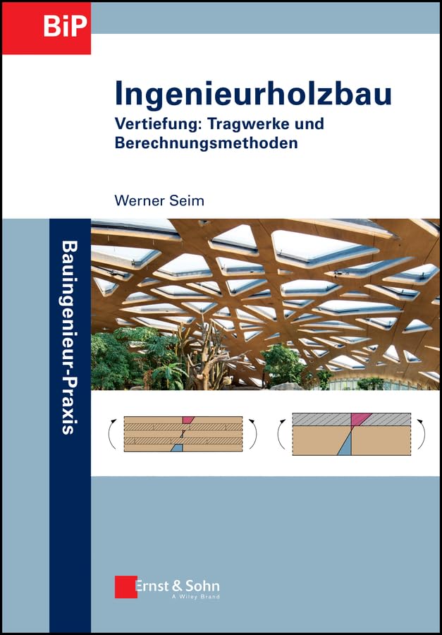 Ingenieurholzbau: Vertiefung: Tragwerke und Berechnungsmethoden (Bauingenieur-Praxis)
