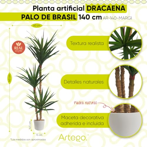 Listado y reviews de Tronco brasil los más recomendados. 23 Imagen adicional