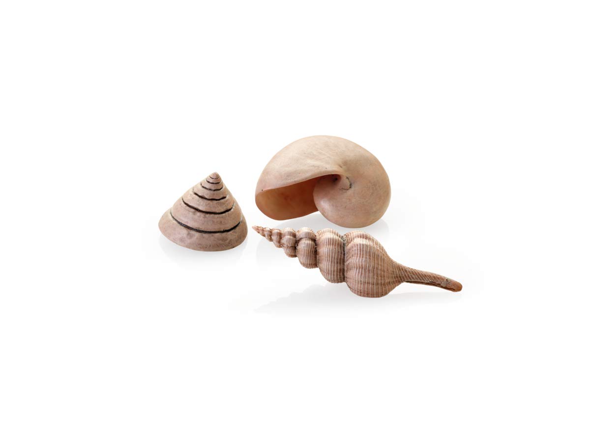 biOrb 48355 Muschel Set natural, 3er-Set - detailgetreue Keramik-Muscheln, Aquarium Dekoration, für alle biOrb Aquarien