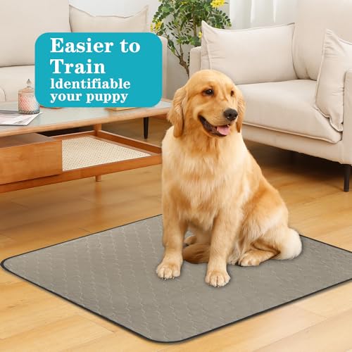Image of Bunlitent Washable Pee Pads for Dogs 36 inch x 48 inch, 5 Pack, Reusable Potty Buddy for Dogs Washable, Dog Training Pads with Quick Dry, Large Anti-Slip Whelping Pad for Pet, Playpen, Incontinence