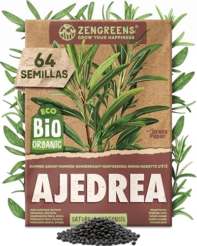 ZenGreens® - Semillas de ajedrea de verano ecológicas - Semillas de hierbas para cultivar fácilmente en el jardín, balcón o cocina - ideal para principiantes
