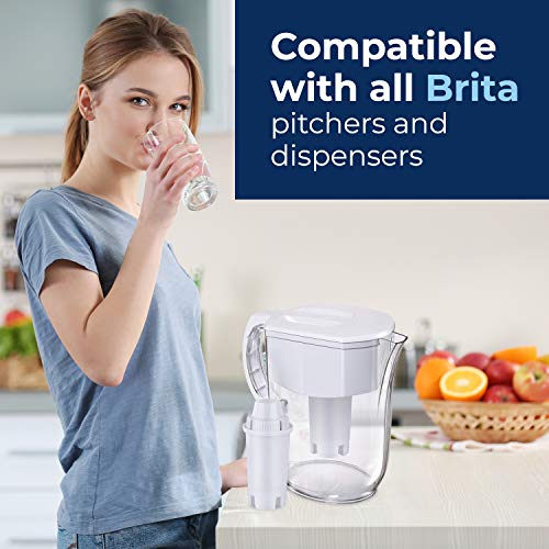 Pureline Filter close-up in Brita pitcher