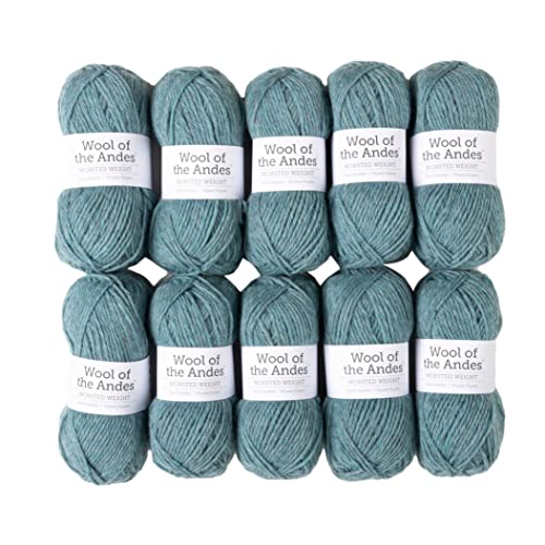 Knit Picks Wool of The Andes Yarn Pack - 10 Skeins...