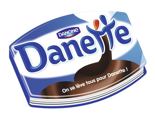 Télécharger DANETTE, ON SE LEVE TOUS POUR Livre eBook France