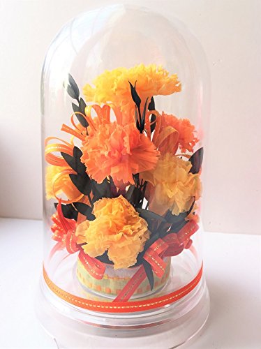 ̓ {݂ւ̑蕨 䌩 vU[uht[ r^~J[   J[l[V