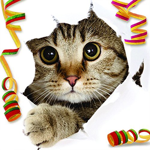 Carte Blanche 3D Holographic Card - Up Close - Cat with Streamers