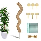 【Colgante de madera útil】Con 6 etiquetas de madera se pueden grabar la fecha, el tipo y otra información importante sobre la planta. Todos están hechos de madera maciza y cortados en 2 formas dulces. Se pueden introducir muy fácilmente en el suelo. Además, puedes escribir con cualquier bolígrafo.