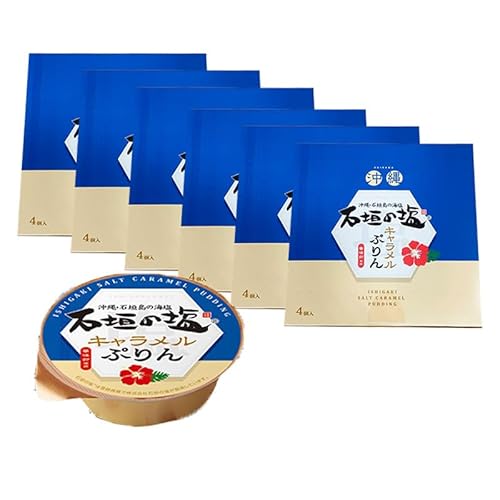 Ί_̉LՂ 70g×4 ×6Zbg Ί_̊C ؖgp v َq lߍ킹 ϔ