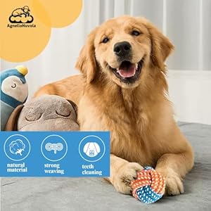 Dog Toy Set - 7 Pack Durable Knotted Rope Toys for Puppy and Small Dogs, Interactive, Chewing, and Outdoor Activities, Enhances Dental Health Dog Toy Set 7 Pack Durable Knotted Rope Toys for Puppy and Small Dogs Interactive Chewing and Outdoor Activities Enhances Dental Health