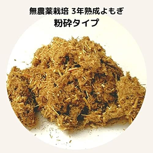 よもぎ蒸し用粉砕タイプ韓国江華島産の3年熟成獅子足よもぎ100% 1キロ よもぎ蒸し用粉砕タイプ1kg韓国江華島産の3年熟成獅子足よもぎ