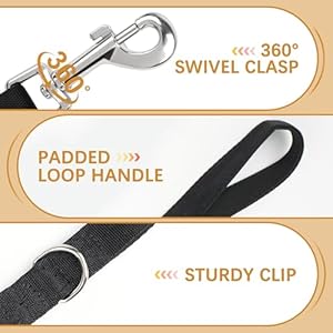 Primepets Long Leash for Dog Training 20 Ft Dog Leash Nylon Heavy Duty Dog Leash Pet Supplies Great for Walking or Camping no Clicker Included  Cucciolini Doodles Primepets long leash for dog training 20 ft dog leash nylon heavy duty dog leash pet supplies great for walking or camping no clicker included   cucciolini doodles