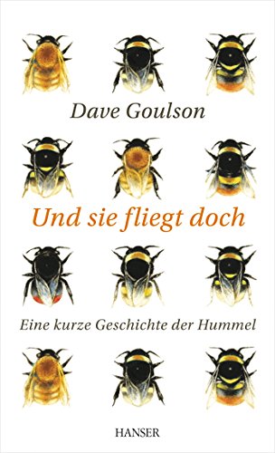 Und sie fliegt doch: Eine kurze Geschichte der Hummel Und sie fliegt doch: Eine kurze Geschichte der Hummel
