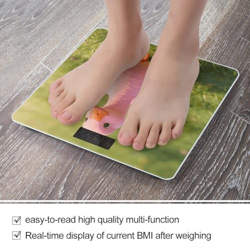 Báscula digital Pink Goose precisa hasta 180 kg miniatura 5