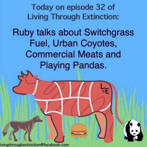 32 - Commercial Meats, Switchgrass, Urban Coyotes, Playing Pandas cover art