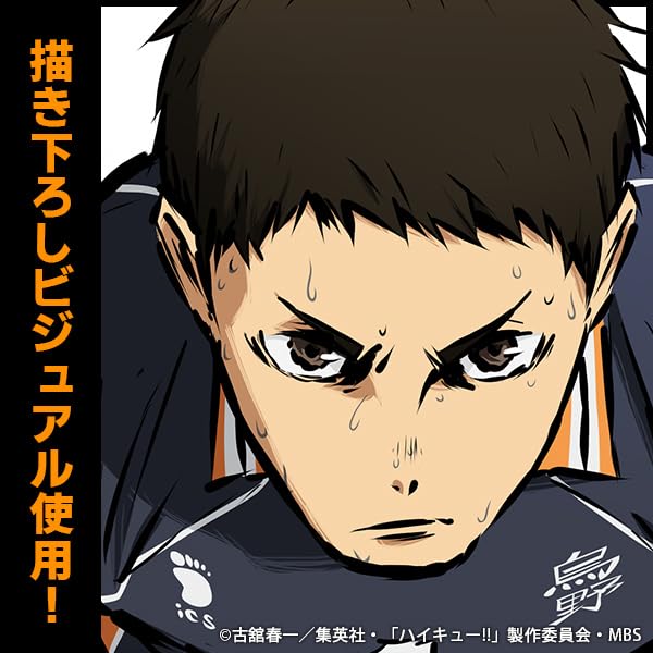 Amazon.co.jp: 【公式】コスパ COSPA ハイキュー!! 澤村大地