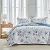 3 Piece Coastal Quilt Sets Full/Queen Size - Reversible Microfiber Ocean Style Quilts with 2 Shams Soft Lightweight Beach Bedding Nautical Bedspread Coverlet Summer Comforter for All Season #1