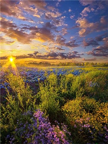 Kit Broderie Diamant Paysage du Coucher du Soleil Complet pour Adulte et Enfant 90x120cm