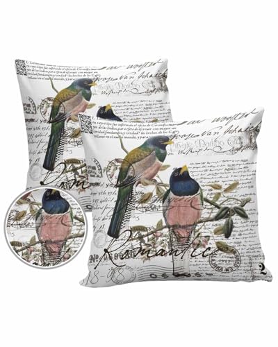 Old Newspaper Outdoor Pillow Cover 16x16 Inch Cushion Sham Case, Waterproof Decorative Square Throw Pillowcase for Outside Garden Patio Porch Couch Chair Tent Animal Birds Antique English Newsprint