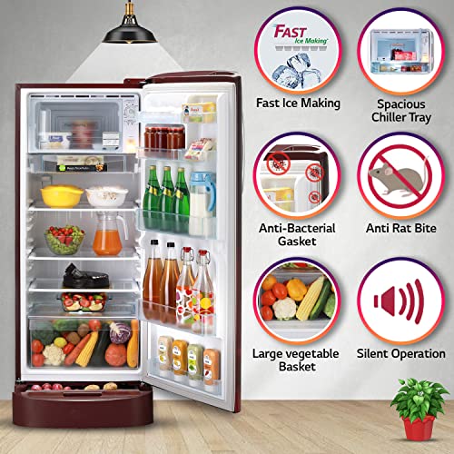LG 224 L 4 Star Inverter Direct-Cool Single Door Refrigerator (GL-D241ASCY, Scarlet Charm, Base stand with Drawer, Total capacity -235 L) - Image 5