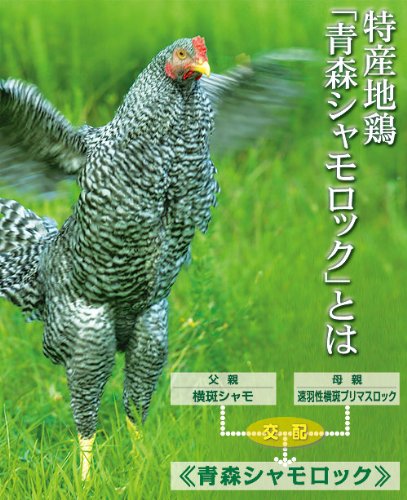 Amazon.co.jp: 青森県銘地鶏 シャモロック 鶏2Kg 1羽(冷蔵・冷凍産直 