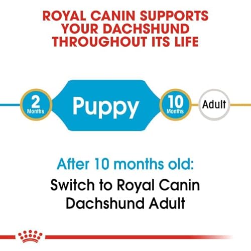 Food Royal Canin SHN Breed Dachshund Jun 1.5 kg