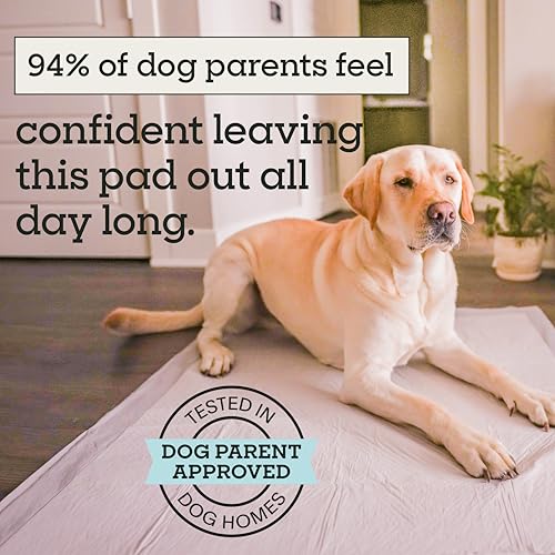 Image of Pet Life Unlimited Heavy Duty 3XL Puppy Pads for Dogs, Potty Training Pee Pads, 52 Count, 36 inch x 36 inch, Leak-Proof, Super Absorbent, Quick-Dry, Odor Control Clover Leaf Scent, Made in USA