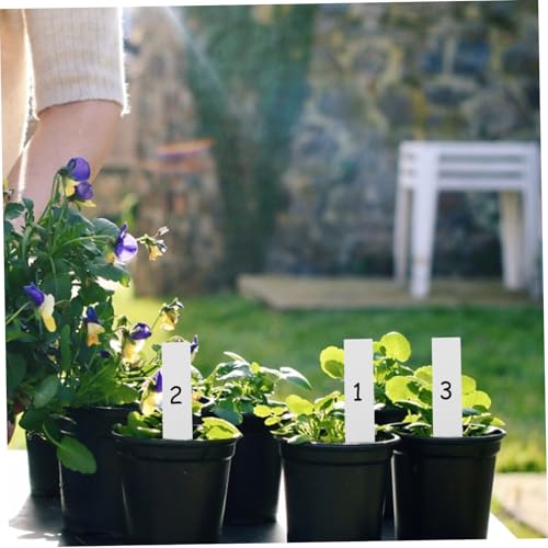 Kit de Herramientas para Trasplante de Plantas HOMSFOU miniatura 3
