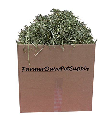 FarmerDavePetSupply 15 lb Spring Medley Hay,Rabbit and Bunny Hay