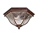 Acclaim 5615BW Flush Mount Collection 2-Light Ceiling Mount Outdoor Light Fixture, Burled Walnut