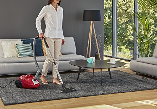 Rowenta Compact Power RO3953EA Aspirateur traineau sac - vue 7