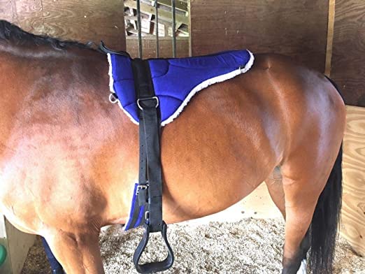 Blessing Premium Horse Bare Back pad with striuups (Normal, Blue)