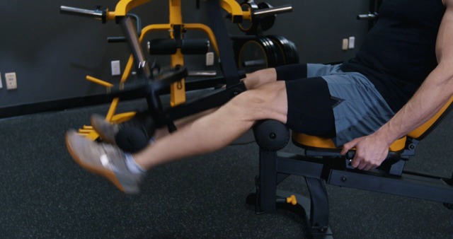 Amazon.com : Powertec Fitness Leg Lift Curl - Leg Extension