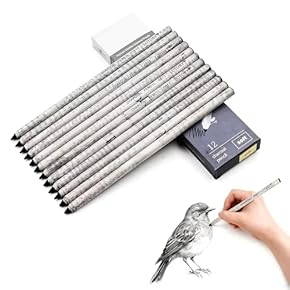 木炭画「工具の手触り」 Amazon.co.jp: DanYun 12本セット 木炭