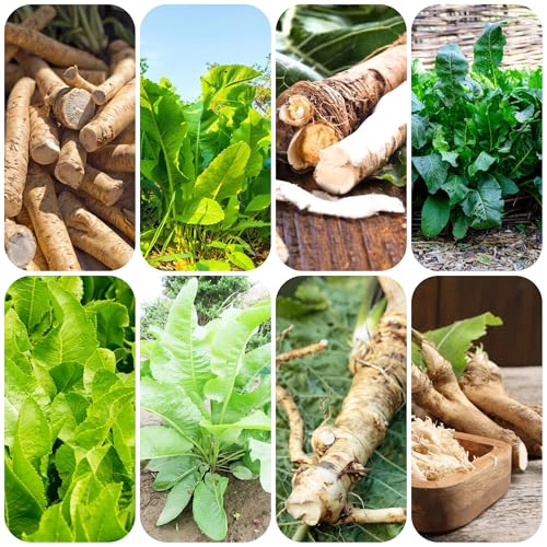 Coltivare il tuo orto ti consente di ottenere più verdure fresche.