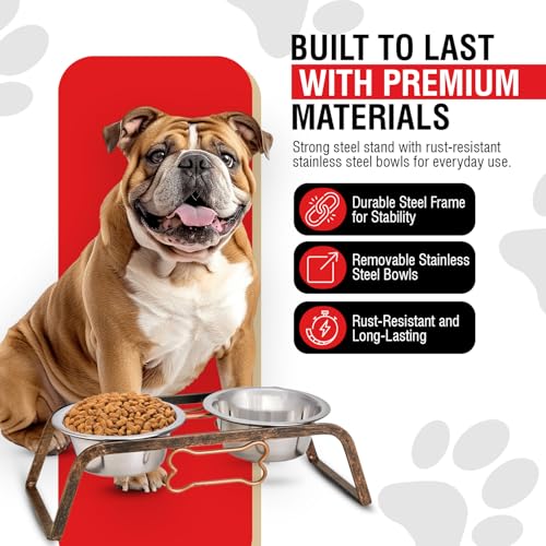 Loving Pets Elevated Dog Bowls – Raised Stainless Steel Dog Bowls with Steel Stand – Non-Skid, No Spill Feeder for Small, Medium & Large Dogs – Easy to Clean, Durable Raised Dog Feeding Station - Image 5