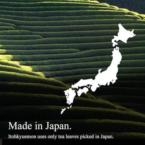 Image of ITOHKYUEMON KYOTO Uji sencha green tea leaves powder powder green tea 0.08lb bag JAPAN