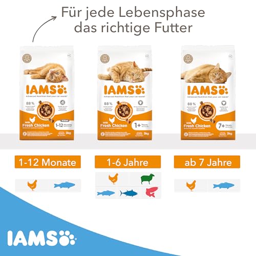 IAMS Junior Katzenfutter trocken mit Fisch - Trockenfutter für Kitten im Alter von 1-12 Monaten, 3 kg