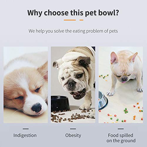 Anself els animal de estimação Pet Dog Feeder Slow Food Eating No Spill Pet Bowl Interativo Tumbler