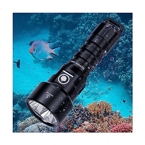 Top 10 Best Waterproof Flashlight For Diving Reviews & Comparison