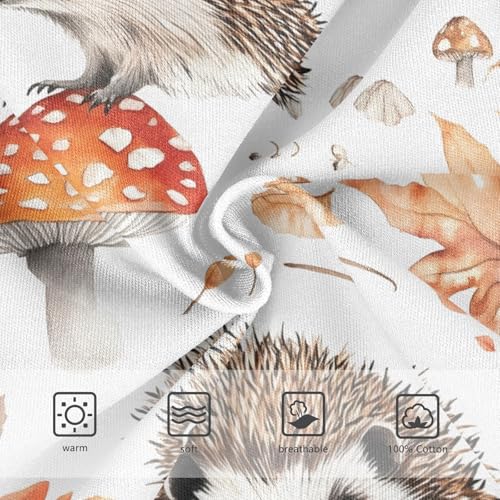 Cute Hedgehog Mushroom Toddler Boy's Underwear 2T 202b90363