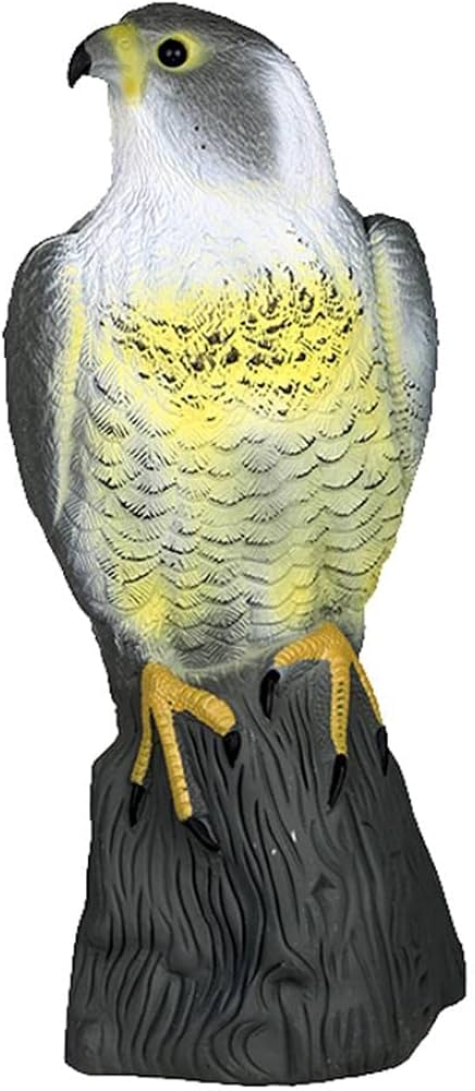 Amazon | リアルなハヤブサデコイ害虫鳥威しかかしガーデン